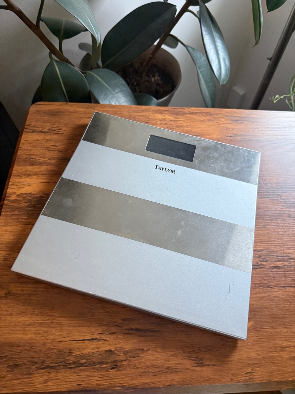 Taylor Silver and White Digital Bathroom Scale